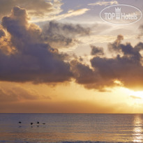 Viceroy Riviera Maya, a Luxury Villa Resort 