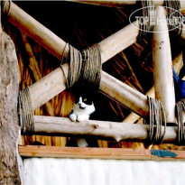 Xaloc Resort
