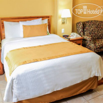 Comfort Inn Tampico