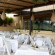 Fortin Plaza Oaxaca 