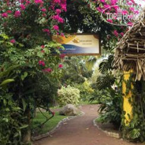 Picocanoa 
