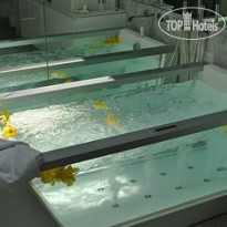 Anticavilla Hotel & Spa 