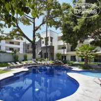 Occidental Cuernavaca 