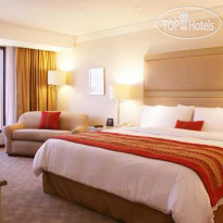 Hilton Guadalajara
