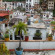 Las Palomas 