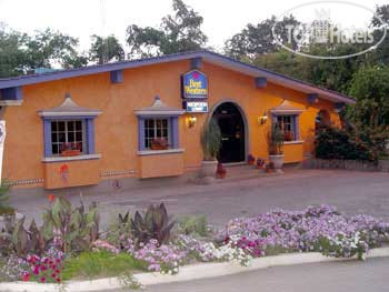 New photos from tourists Best Western Hotel Del Rio 4*