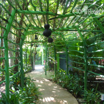 Xolumado Inspiration Village