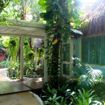 Xolumado Inspiration Village