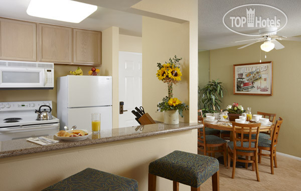 New photos from tourists Dolphins Cove Resort 3*