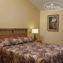 Dolphins Cove Resort 