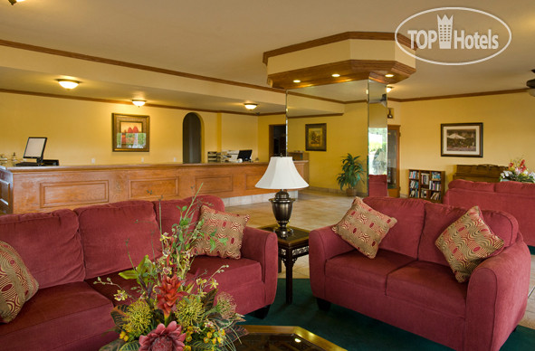 New photos from tourists Royal Sun Inn 3*