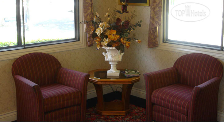 New photos from tourists Elan 3*