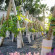 The Fess Parker Santa Barbara Hotel - A DoubleTree by Hilton Resort 