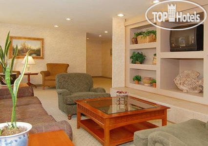 New photos from tourists Comfort Inn Marina 3*