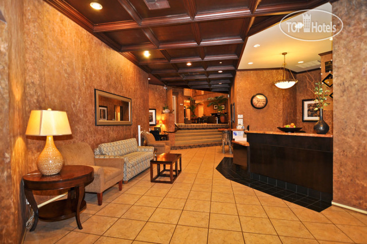 New photos from tourists Best Western Plus Palm Court Hotel 3*