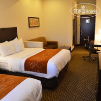 Comfort Suites UC Davis