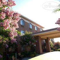 Comfort Suites UC Davis