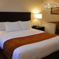 Comfort Suites UC Davis
