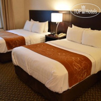Comfort Suites UC Davis