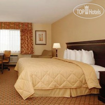 Comfort Inn Humboldt Bay 