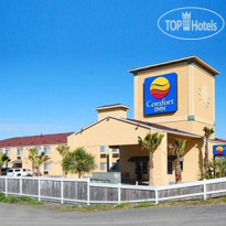 Comfort Inn Humboldt Bay 