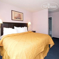 Comfort Inn Cordelia