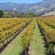 Courtyard by Marriott Fairfield Napa Valley 