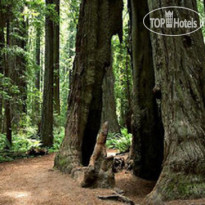 Best Western Country Inn 