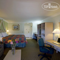 Best Western Harbour Inn & Suites 