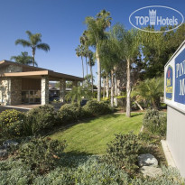 Best Western Pine Tree Motel 