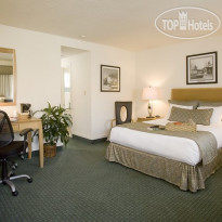 Best Western Pine Tree Motel 