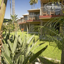 Best Western Pine Tree Motel 