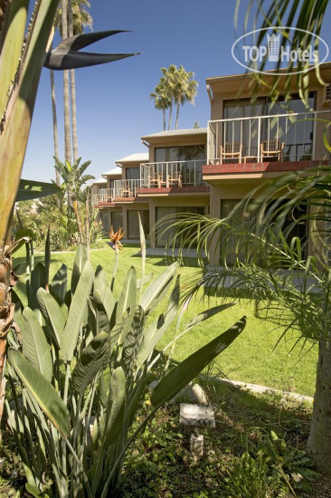 New photos from tourists Best Western Pine Tree Motel 2*