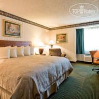 Best Western Plus John Muir Inn 