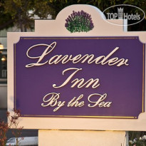 Lavender Inn by the Sea
