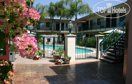 New photos from tourists Tarzana Inn 3*