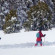 Clair Tappaan Lodge Катание на лыжах