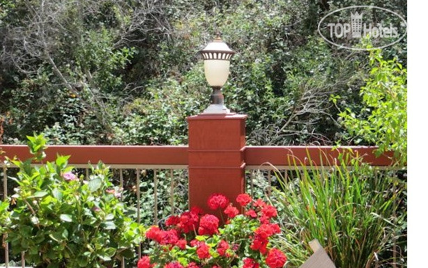 New photos from tourists Colton Inn Monterey 2*