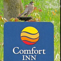 Comfort Inn Yosemite Valley Gateway 