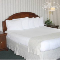 Emerald Dolphin Inn & Mini Golf 