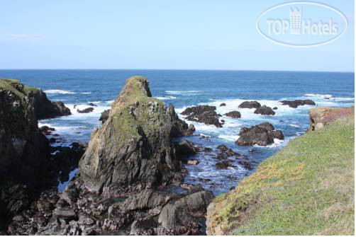 New photos from tourists Emerald Dolphin Inn & Mini Golf 3*