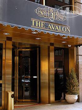 Hotel photo Avalon 5*