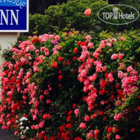 Monterey Oceanside Inn 