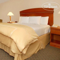 Comfort Inn Anaheim Resort 