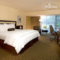 Hilton Anaheim