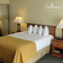 Best Western Plus Beach View Lodge 