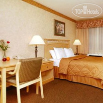 Comfort Inn Hayward 