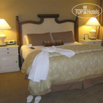 Miramonte Resort & Spa 