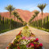 La Quinta Resort & Club 