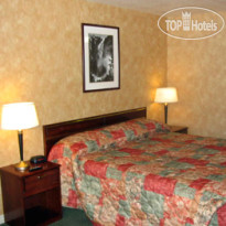 Best Western Yosemite Way Station 